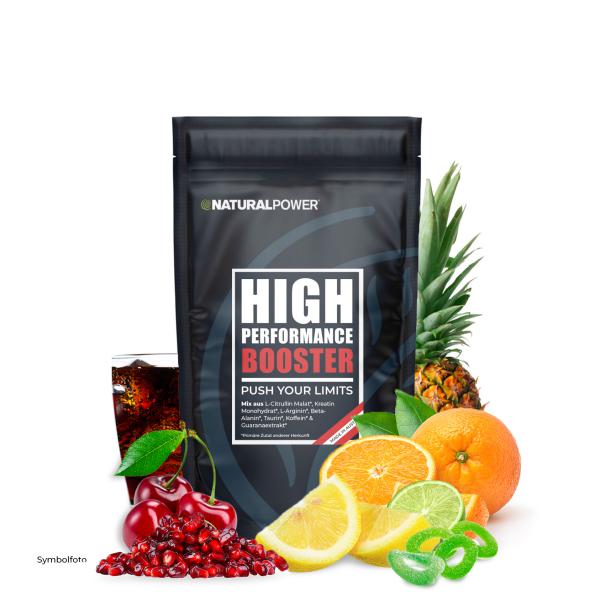 Bild 01:High Performance Booster