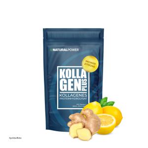 Kollagen PLUS Ingwer-Zitrone