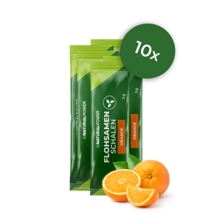 Flohsamenschalen Sticks Orange