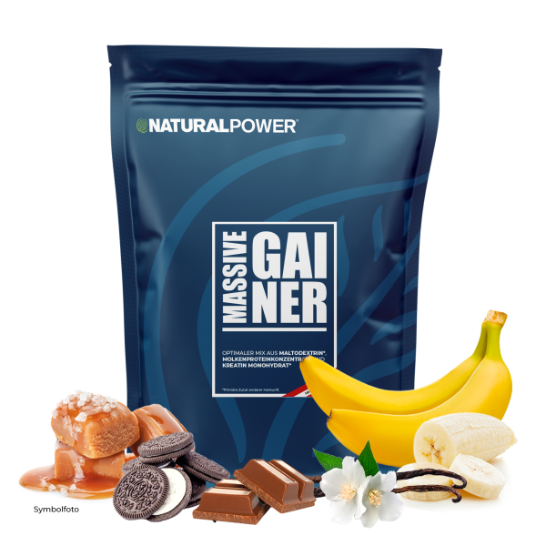 Bild 01:Massive Gainer