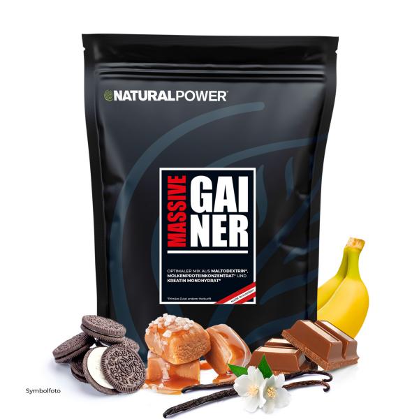 Bild 01:Massive Gainer